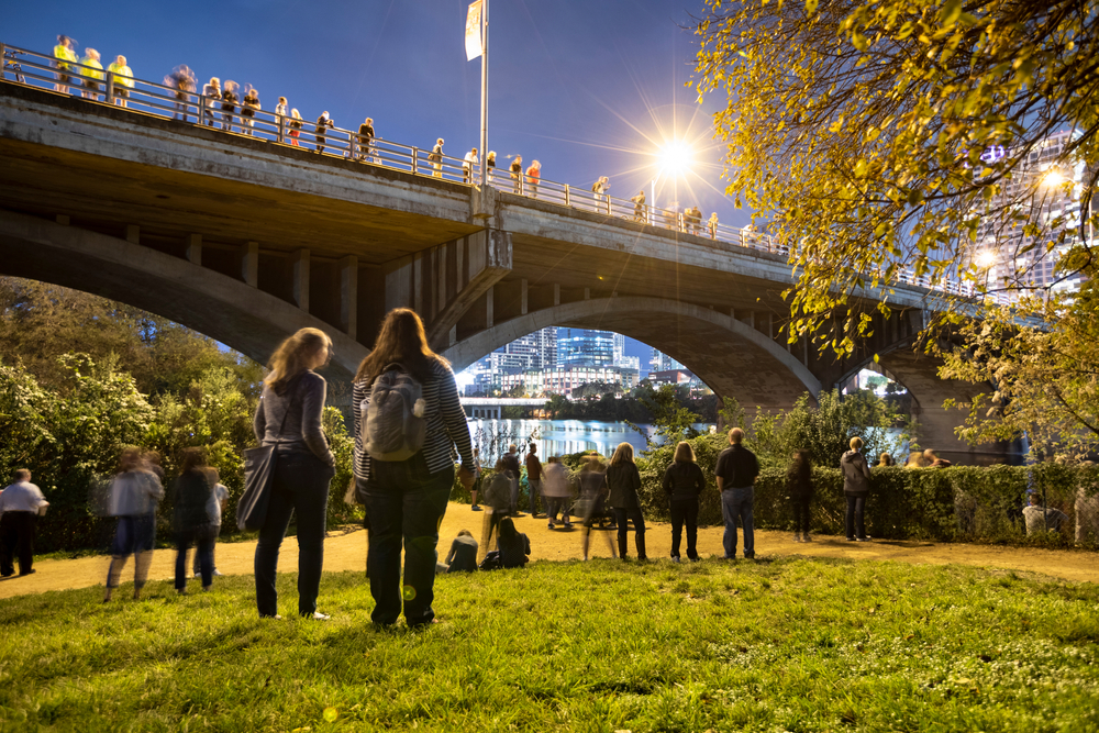 Austin,,Usa,-,November,10,,2016:,People,Watch,For,Bats