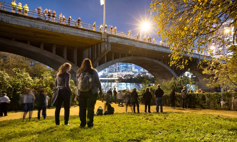 Austin,,Usa,-,November,10,,2016:,People,Watch,For,Bats